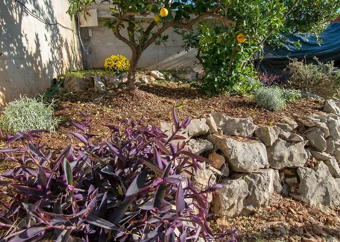 Mira Apartment Trogir