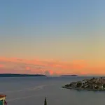 Mira