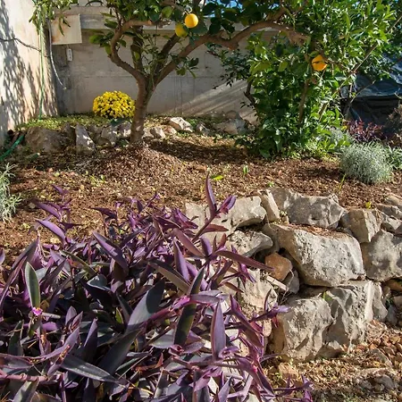 Mira Apartmán Trogir